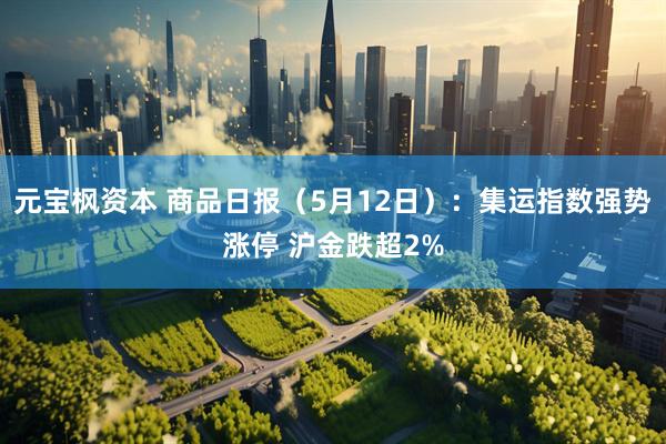 元宝枫资本 商品日报（5月12日）：集运指数强势涨停 沪金跌超2%