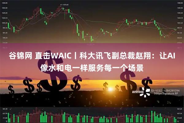 谷锦网 直击WAIC丨科大讯飞副总裁赵翔：让AI像水和电一样服务每一个场景